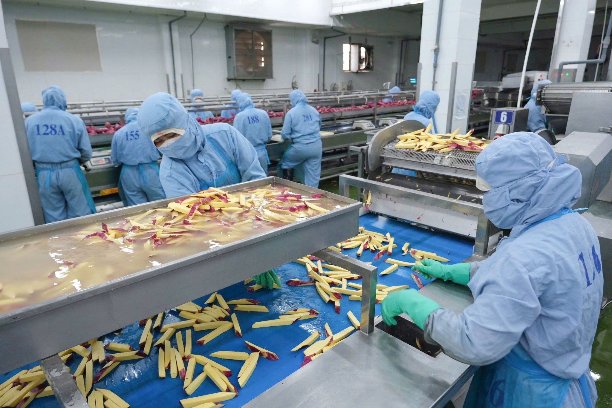 Expanding Job Opportunities Amid Production Recovery