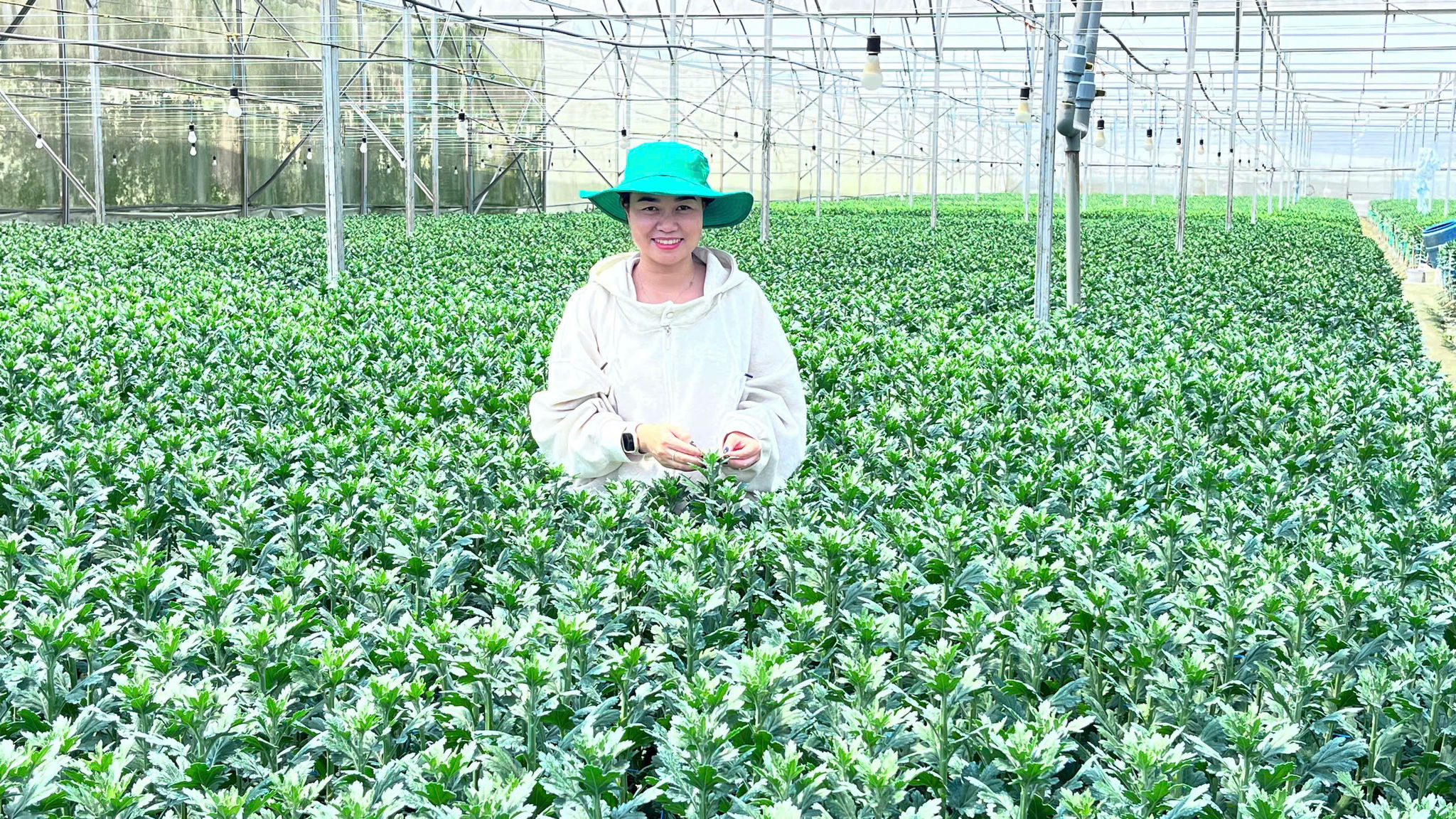 Chị Touneh Ma Tina khá thành công khi chọn nông nghiệp công nghệ cao để khởi nghiệp