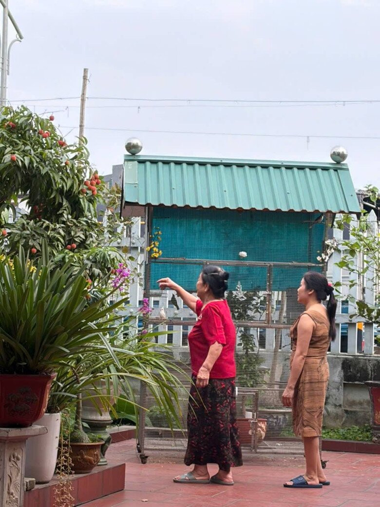 Gia đình quây quần bên nhau tại quê nhà trong không khí ấm áp.