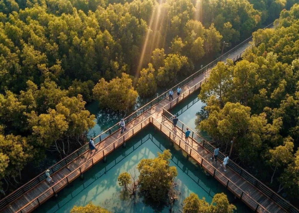 Phối cảnh công viên rừng ngập mặn Wonder Mangrove tại Quảng Ninh