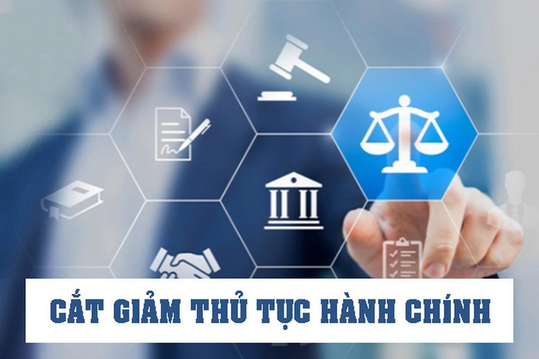 CHÍNH PHỦ BAN HÀNH 8 NGHỊ QUYẾT BÃI BỎ 184 THỦ TỤC HÀNH CHÍNH, 890 ĐIỀU KIỆN KINH DOANH- Ảnh 11.