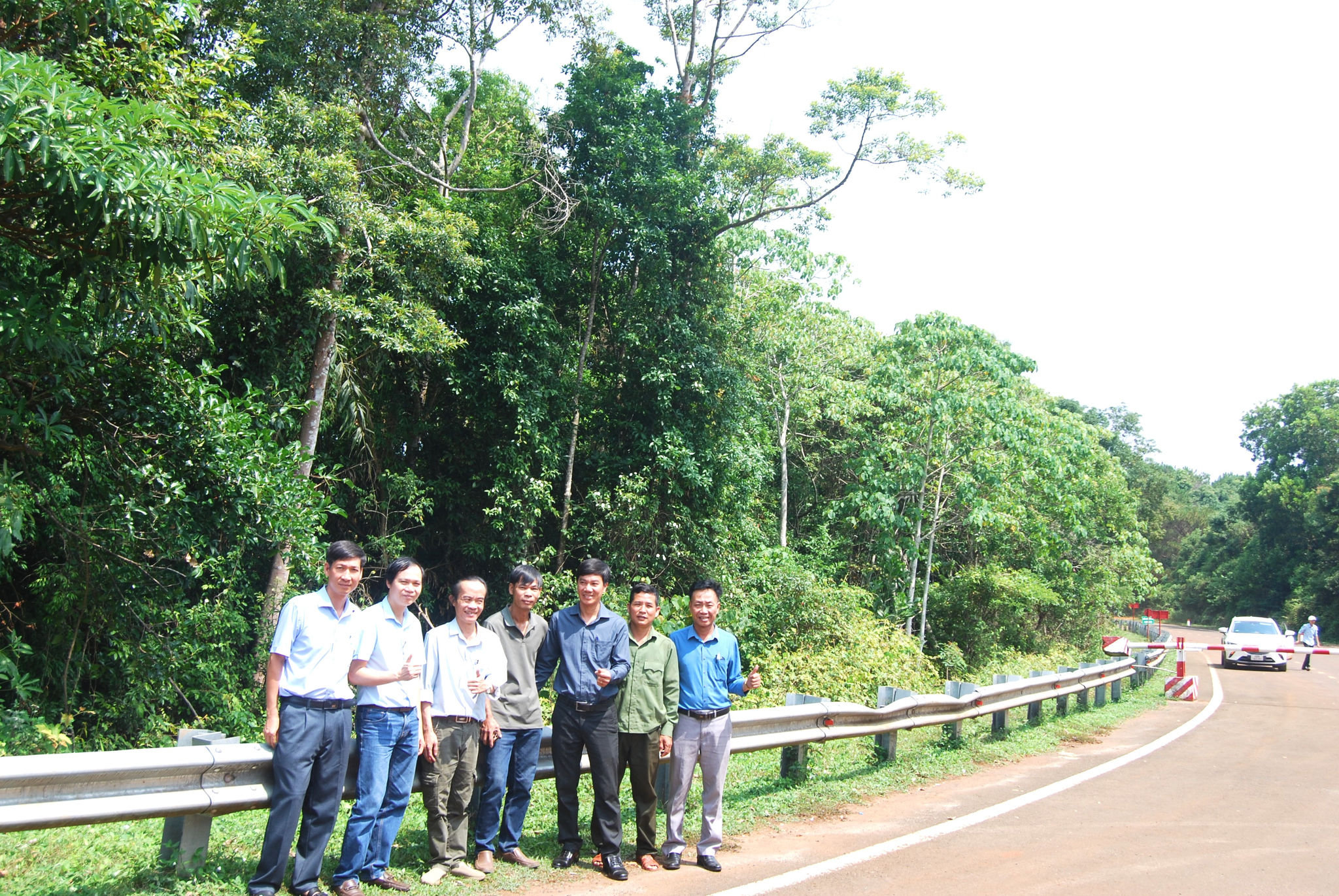 quy-trinh-tu-canh-rung-lam-dong-den-san-giao-dich-tin-chi-carbon-phai-tien-hanh-cac-buoc-xac-dinh-lo-thua-hoan-tat-ho-so-thu-tuc-cap-ma-so.jpg