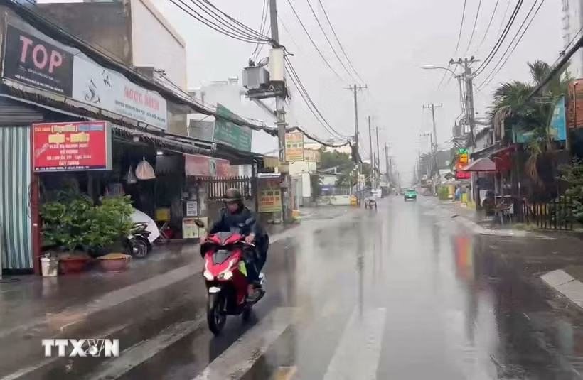 (Ảnh minh họa: Hồng Đạt/TTXVN)
