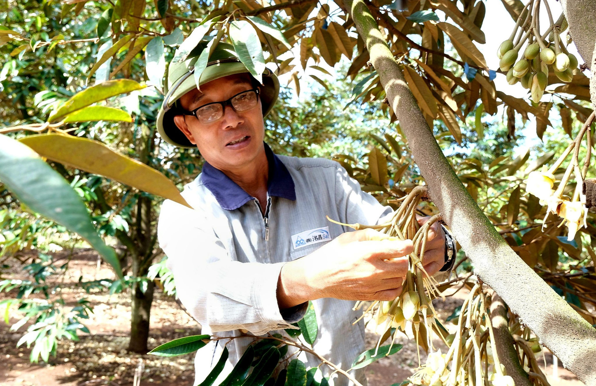 Ông Nguyễn Danh Cẩn