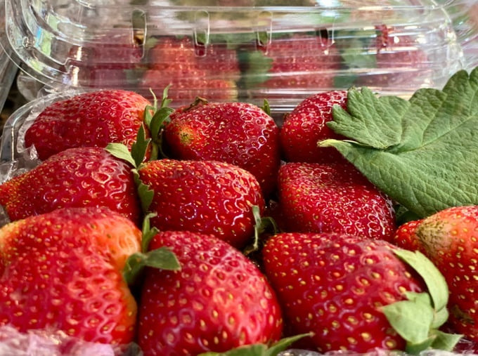 strawberry.jpg