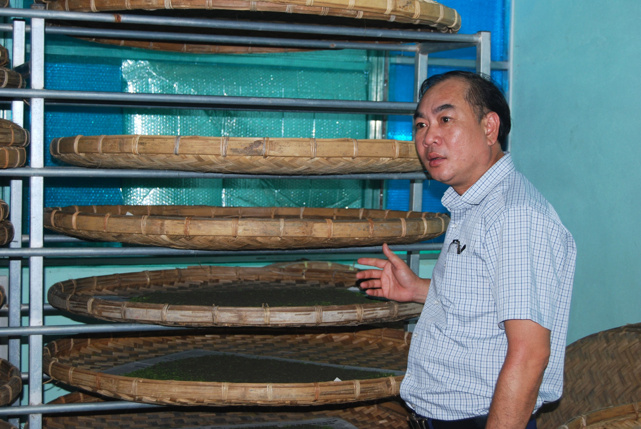 Nuôi tằm ccon trong phòng lạnh đạt hiệu quả cao tại HTX Sản xuất và Dịch vụ dâu tằm Đạ Pal