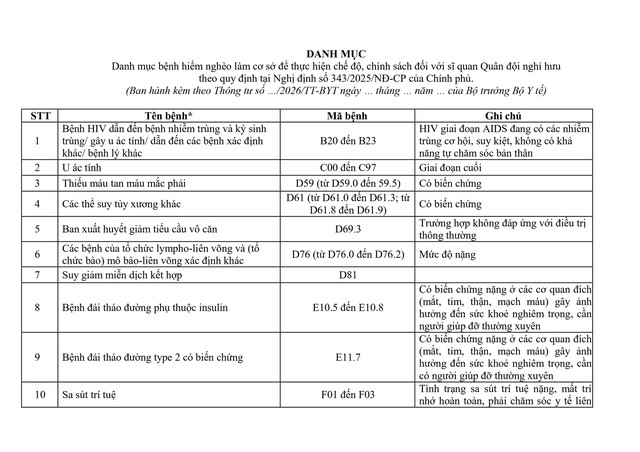 Đề xuất danh mục bệnh hiểm nghèo để thực hiện chế độ, chính sách với sĩ quan Quân đội nghỉ hưu - Ảnh 1.