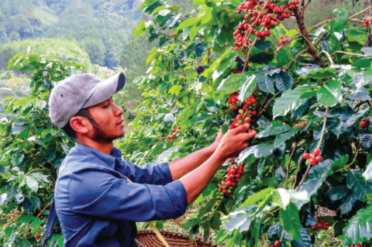 so-295-ngay-11-5-2026_curves-1-1-.jpg