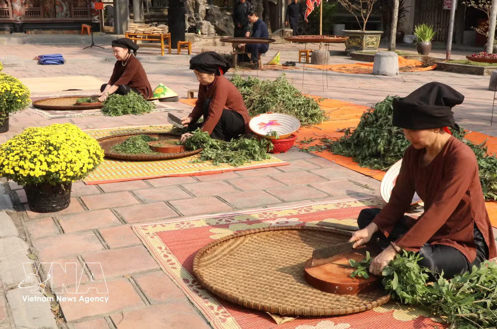 Residents in Ninh Binh province handle herbal plants to offer as part of wellness tourism products. (Photo: VNA) vnanet-slowtravel.jpg