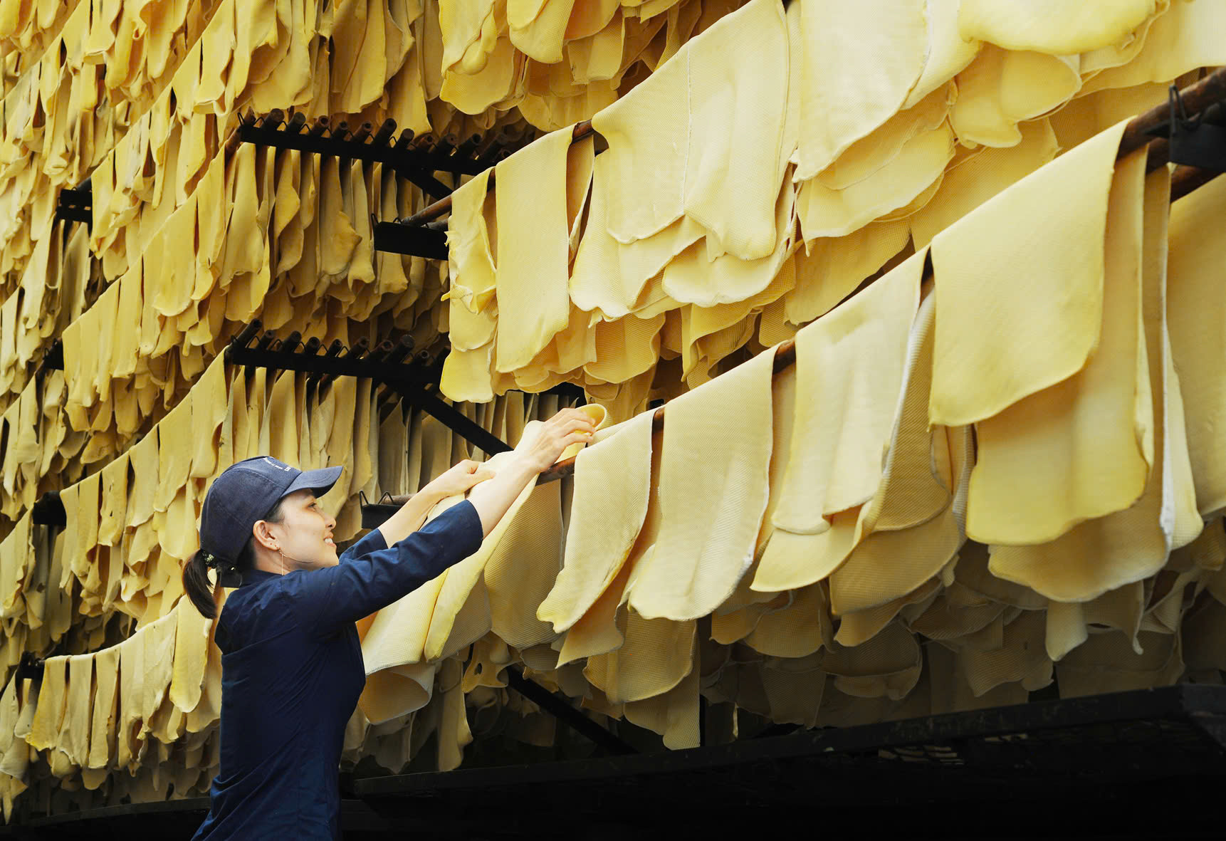 Verarbeitung von Kautschuklatex bei Binh Thuan Rubber Company Limited.