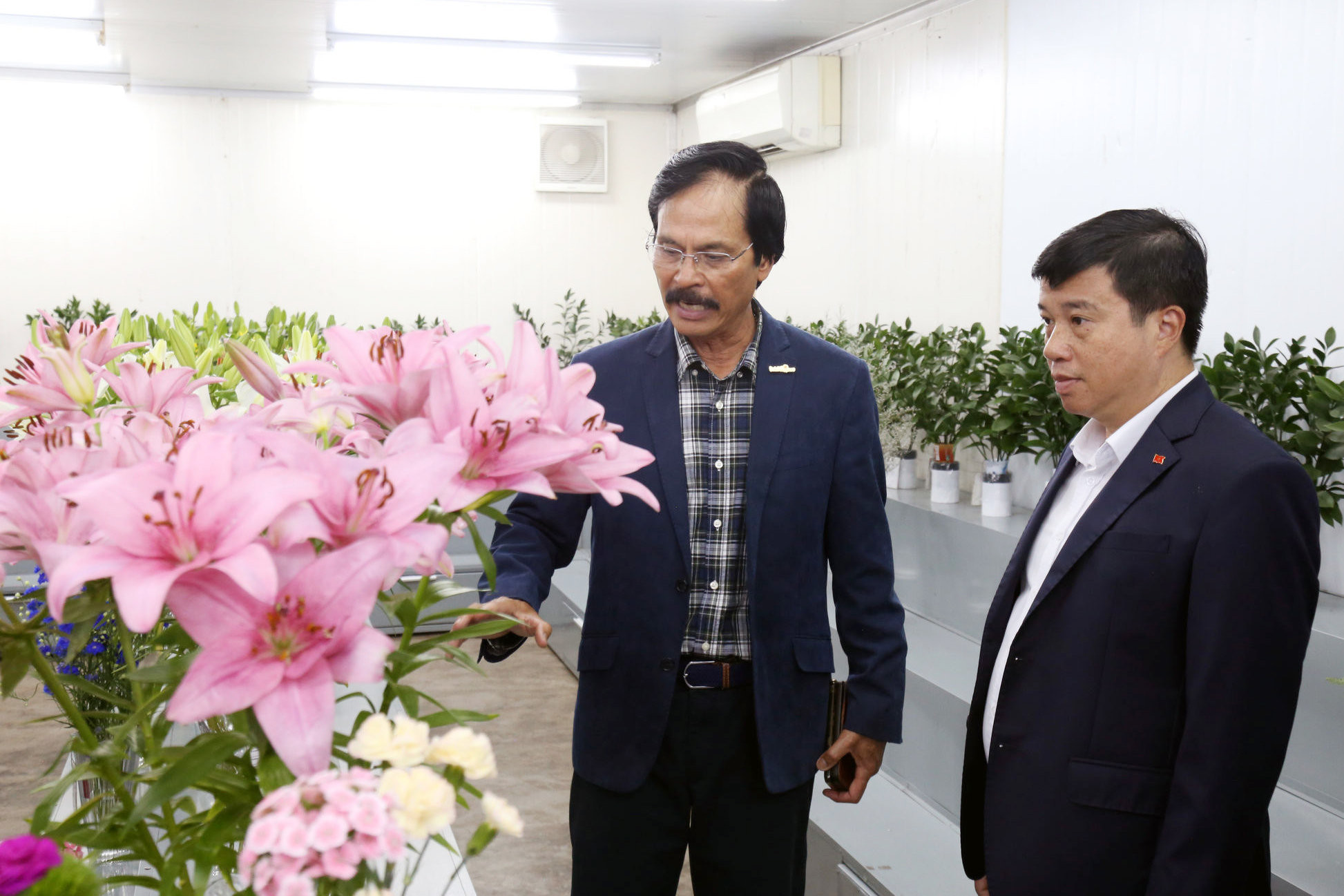 Nguyen Van Bao, Deputy General Director of Dalat Hasfarm, introduces various flower varieties cultivated by the company