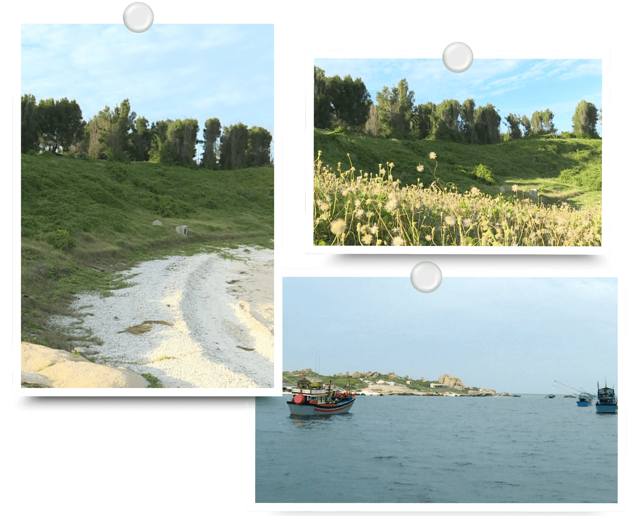 mẫu làm cụm ảnh 1