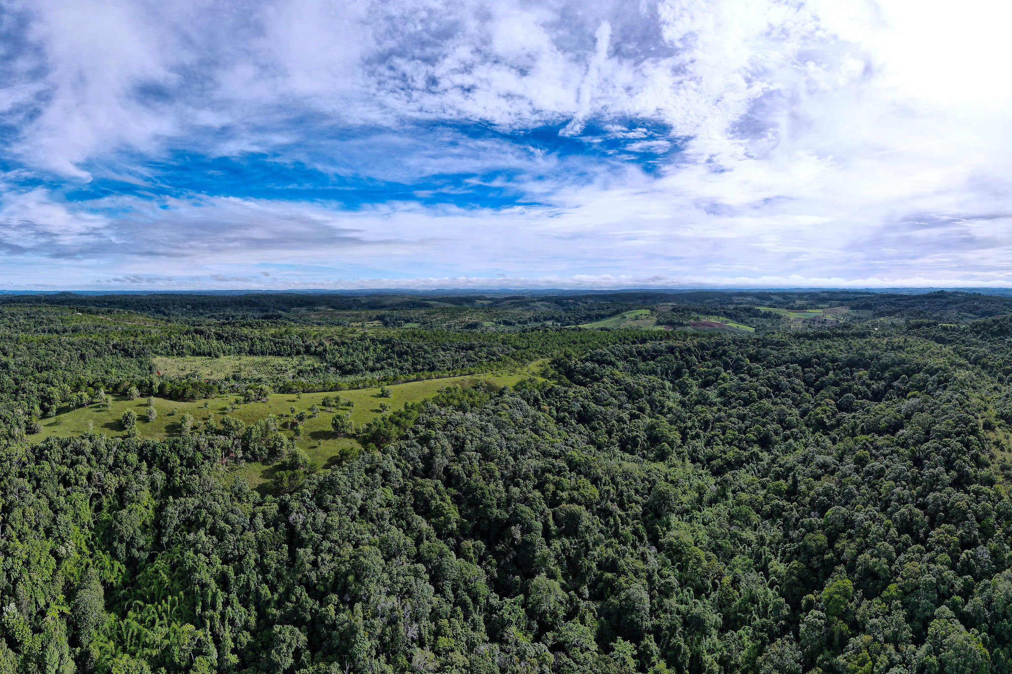 a-dji_0692.jpg