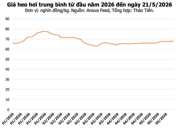 Bảng tổng hợp giá heo hơi tại thị trường miền Nam ngày 21/5