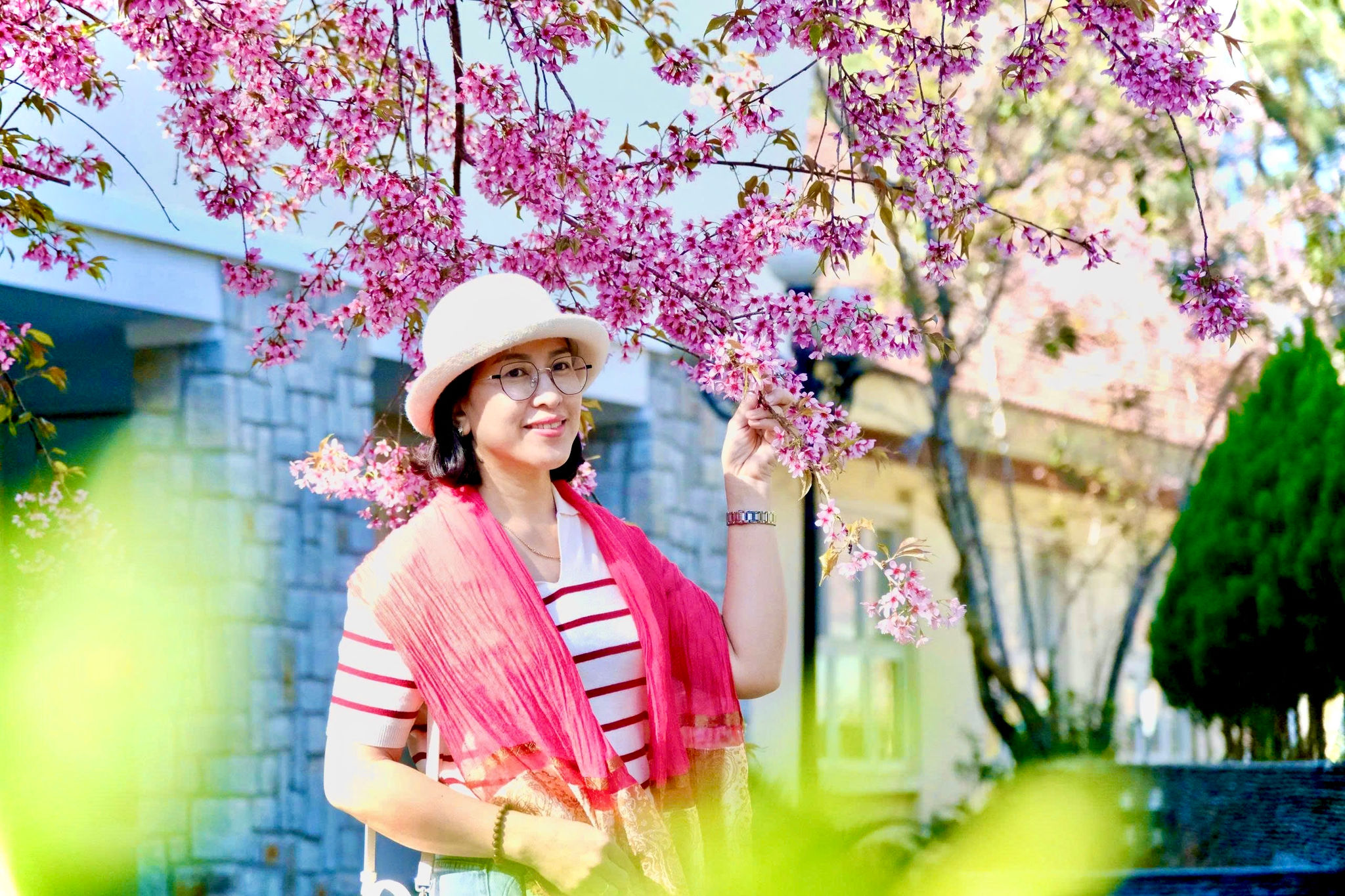 Kiều Hằng .