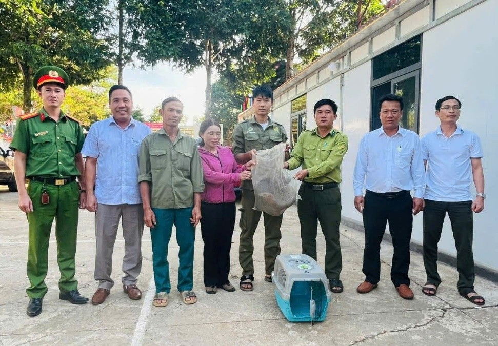 Truong Xuan Commune police and local authorities hand over a clouded monitor lizard
