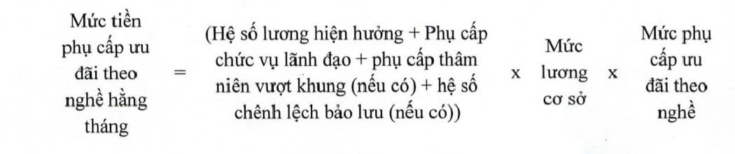 Quy định mới của Chính phủ về chế độ phụ cấp ưu đãi theo nghề đối với nhà giáo- Ảnh 3.