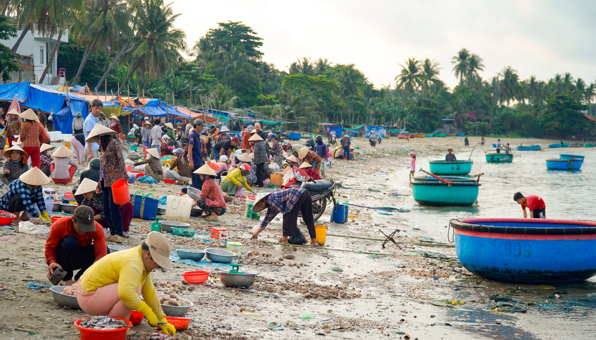 The coastal area is both lively and peaceful, reflecting the daily rhythm of early-morning