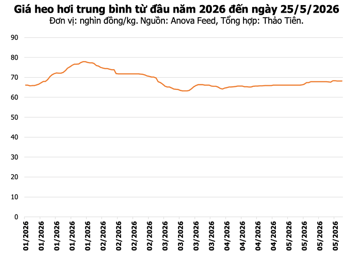 Giá heo hơi miền Nam 25/5 Bảng giá heo hơi tại khu vực miền Nam ngày 25/5
