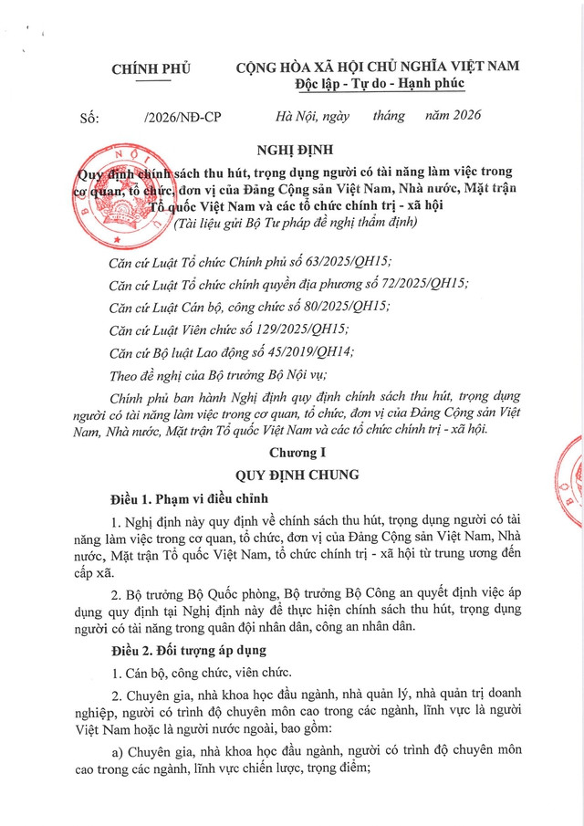 TOÀN VĂN: Dự thảo Nghị định Quy định chính sách thu hút, trọng dụng người có tài năng- Ảnh 1.