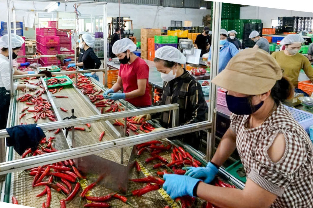 cty-phong-thuy.jpg