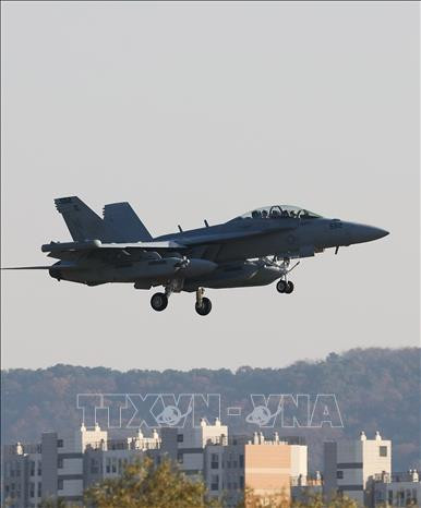 Máy bay tác chiến điện tử EA-18G Growler tham gia tập trận Vigilant Storm