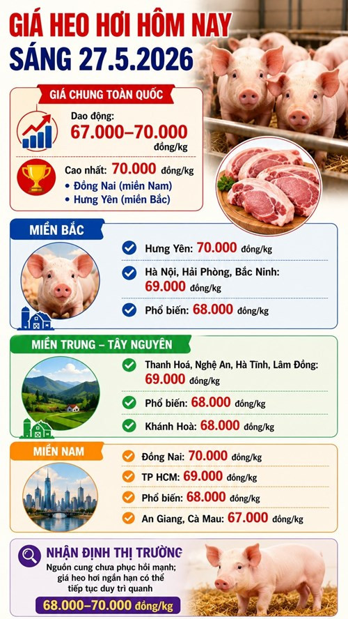 Giá heo hơi hôm nay 27.5 ổn định, nhiều địa phương duy trì vùng giá cao