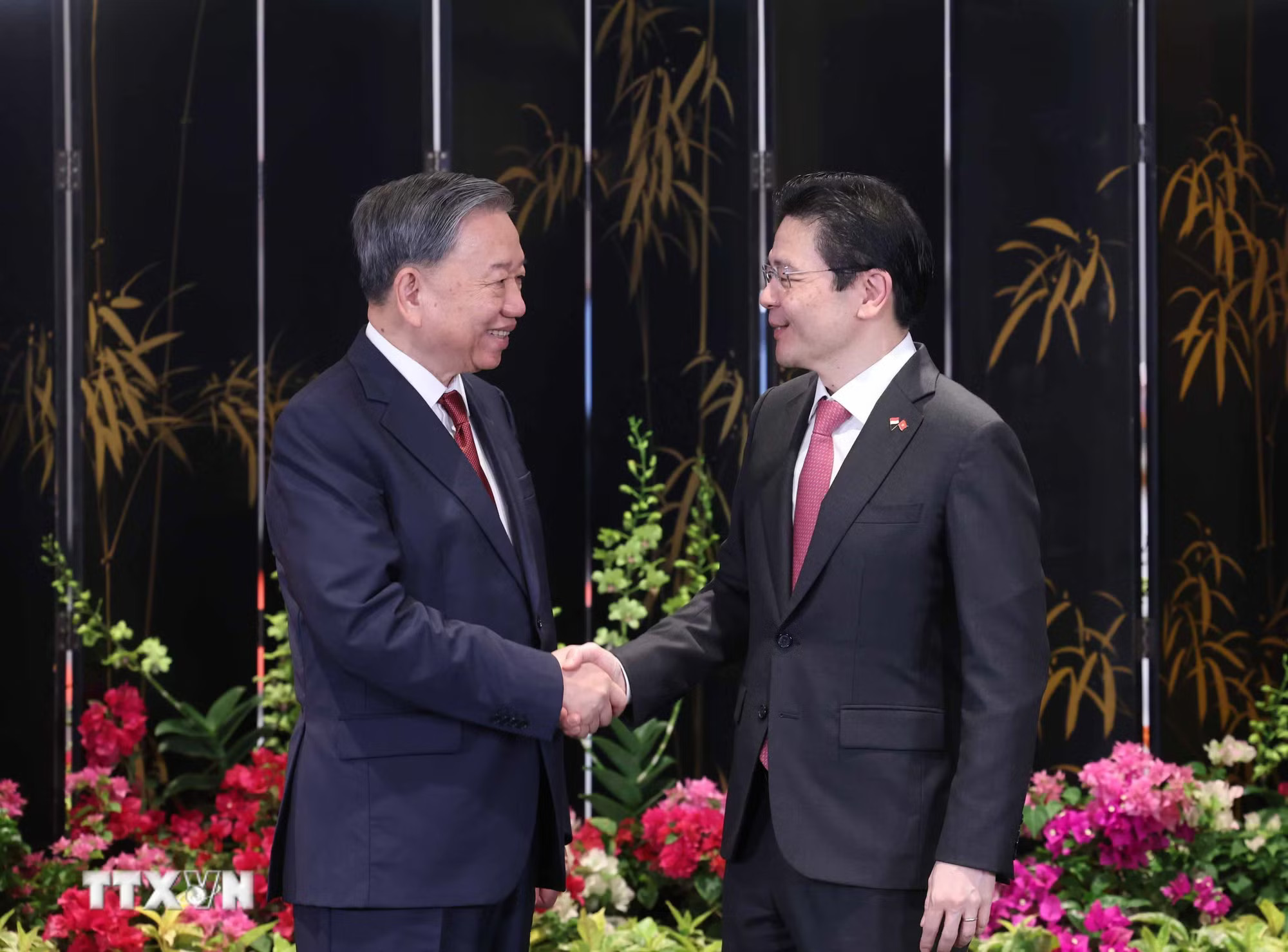 ttxvn-tong-bi-thu-to-lam-va-thu-tuong-singapore-3.jpg