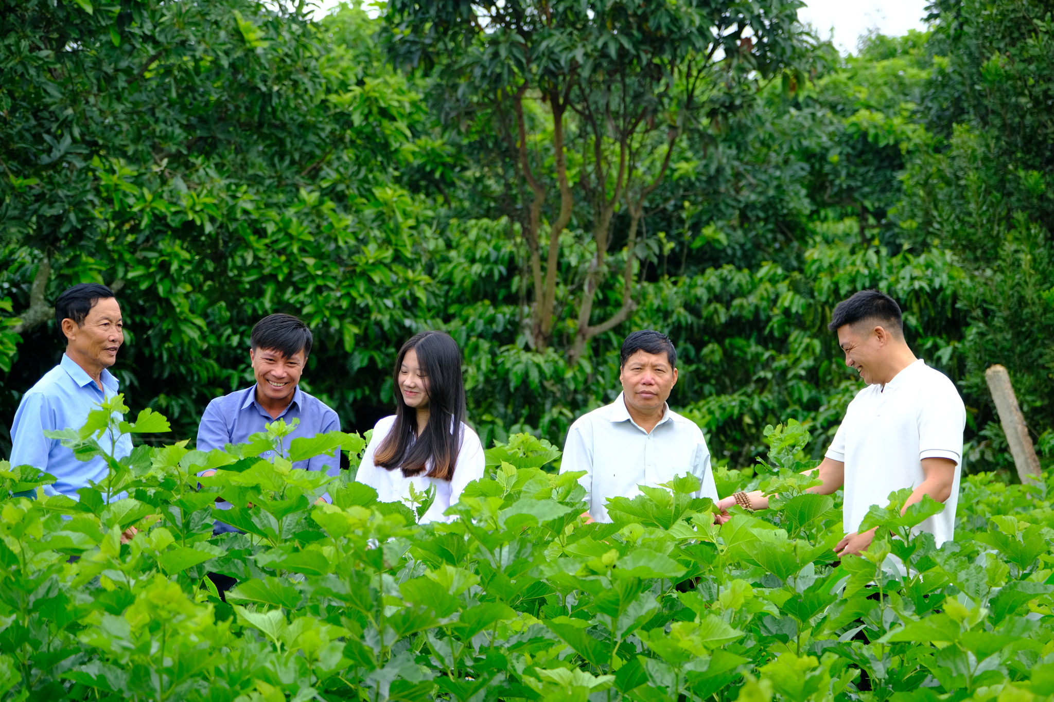 Những đảng viên trẻ tại thôn Phúc Thọ 2 từng bước trưởng thành từ thực tiễn đời sống địa phương.