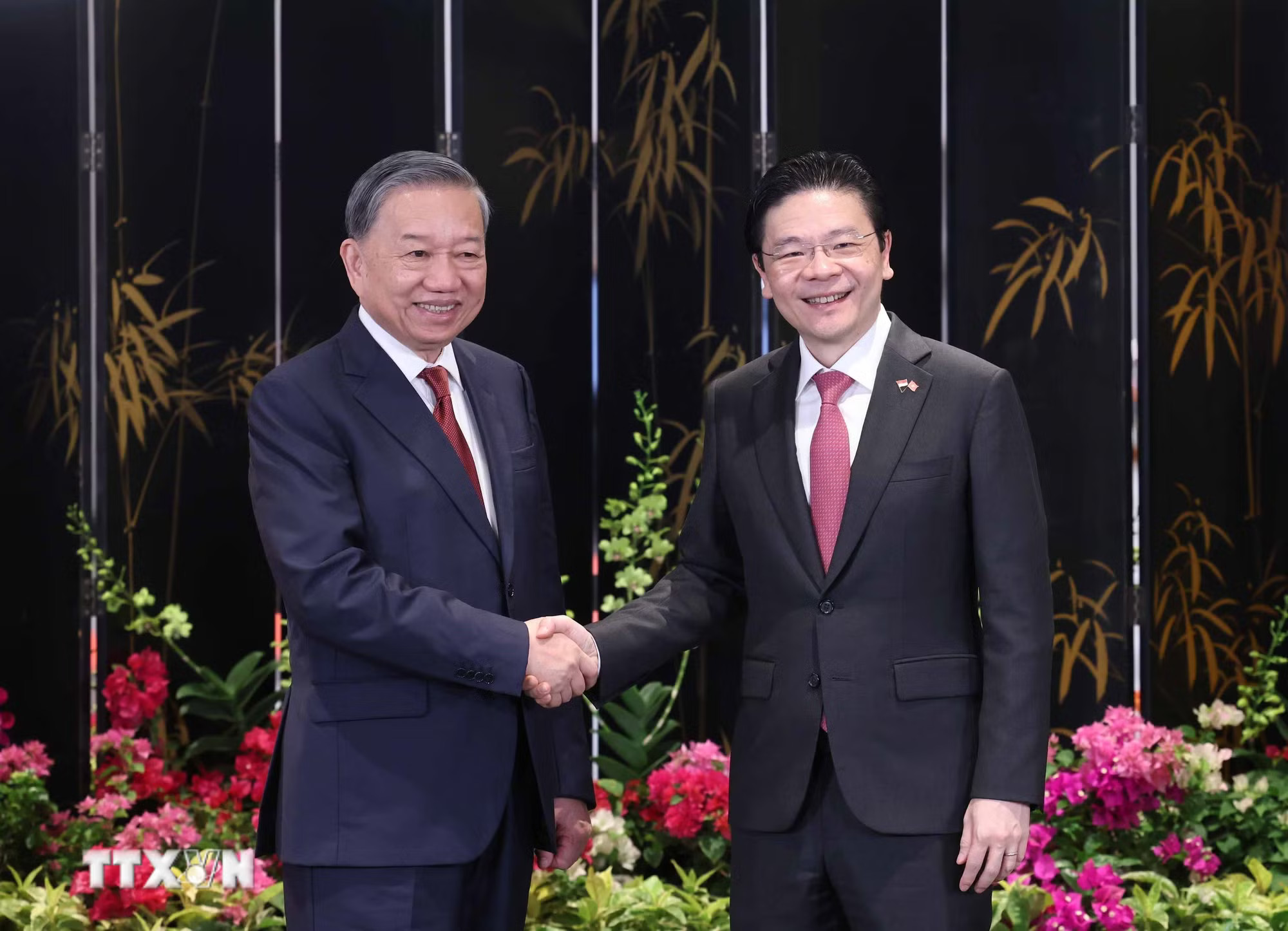 ttxvn-tong-bi-thu-to-lam-va-thu-tuong-singapore-1.jpg