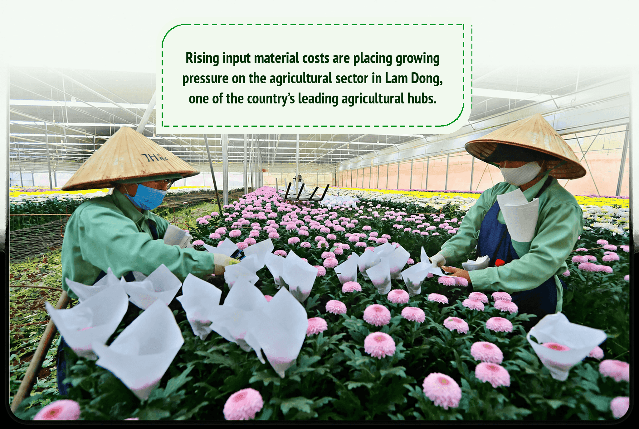 lam_dong_agriculture_same_size.png LAN BA
