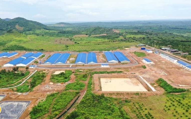 Dự án chăn nuôi có phải đánh giá tác động môi trường?