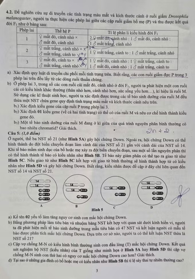 Đề thi vào 10 chuyên Sinh học tại Hà Nội 2