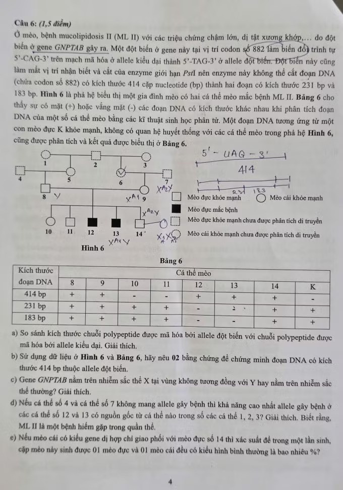 Đề thi vào 10 chuyên Sinh học tại Hà Nội 3