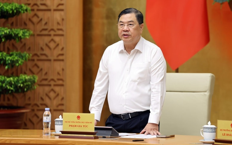 Phó Thủ tướng Thường trực Phạm Gia Túc phát biểu chỉ đạo tại cuộc họp.