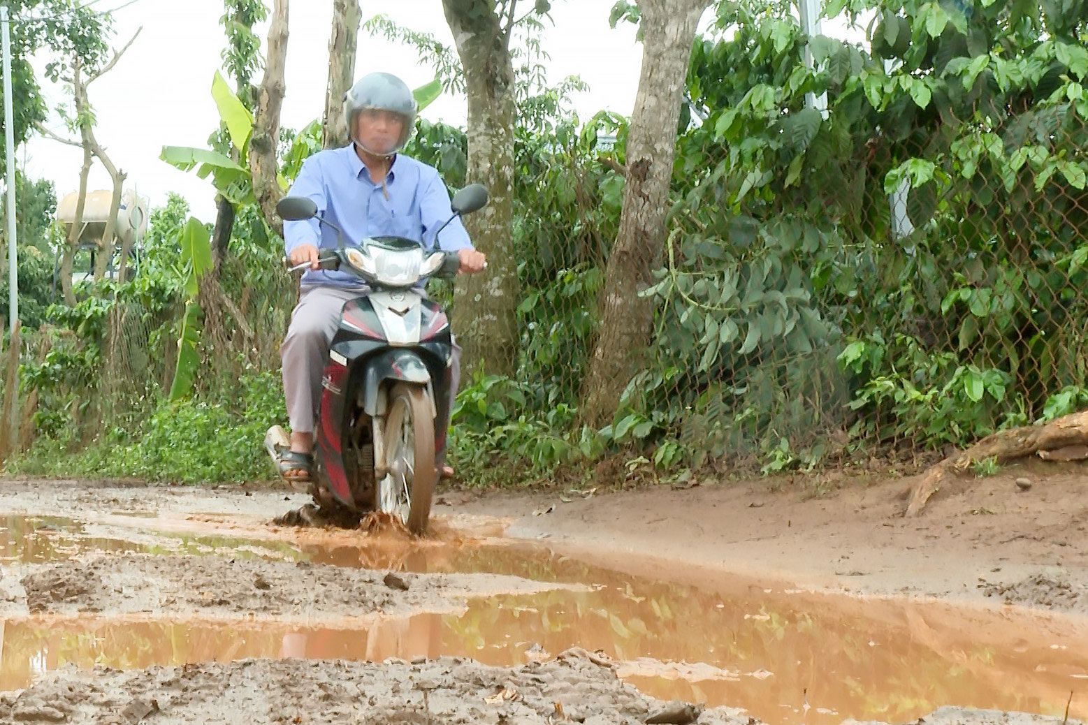 nguoi uy tin6