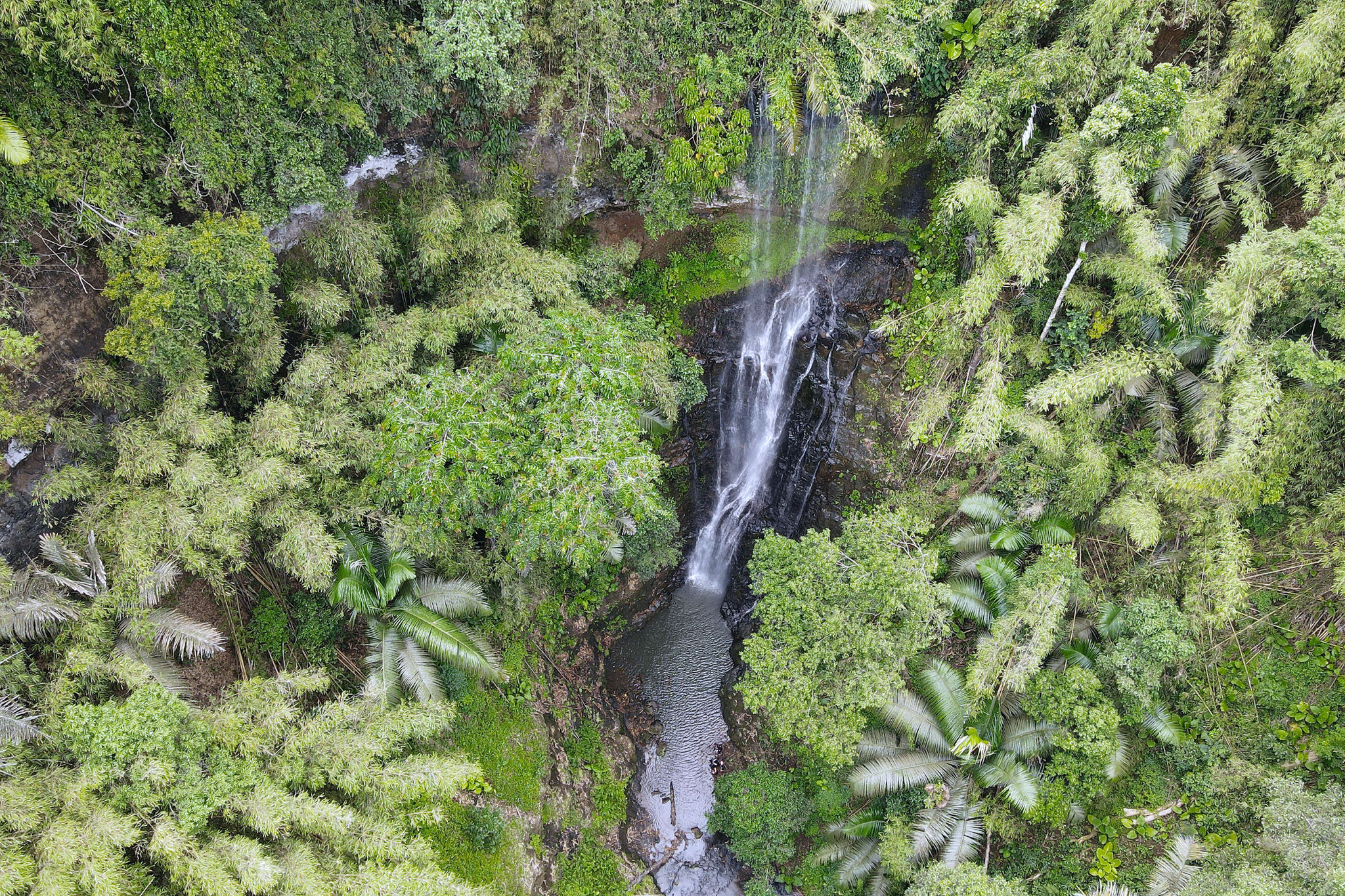 dji_0675.jpg