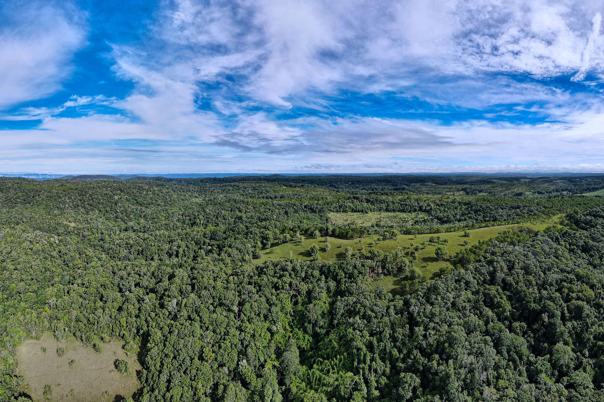 Lam Dong is pursuing a flexible yet tightly regulated approach to forest land conversion in support of key infrastructure and tourism projects