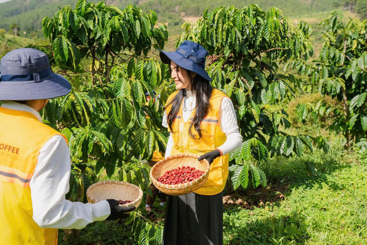 nganh-nong-nghiep-lam-dong-da-va-dang-mo-rong-nhieu-vung-trong-ca-phe-dat-cac-tieu-chuan-chung-nhan-ben-vung-trong-nuoc-va-quoc-te-2-.jpg
