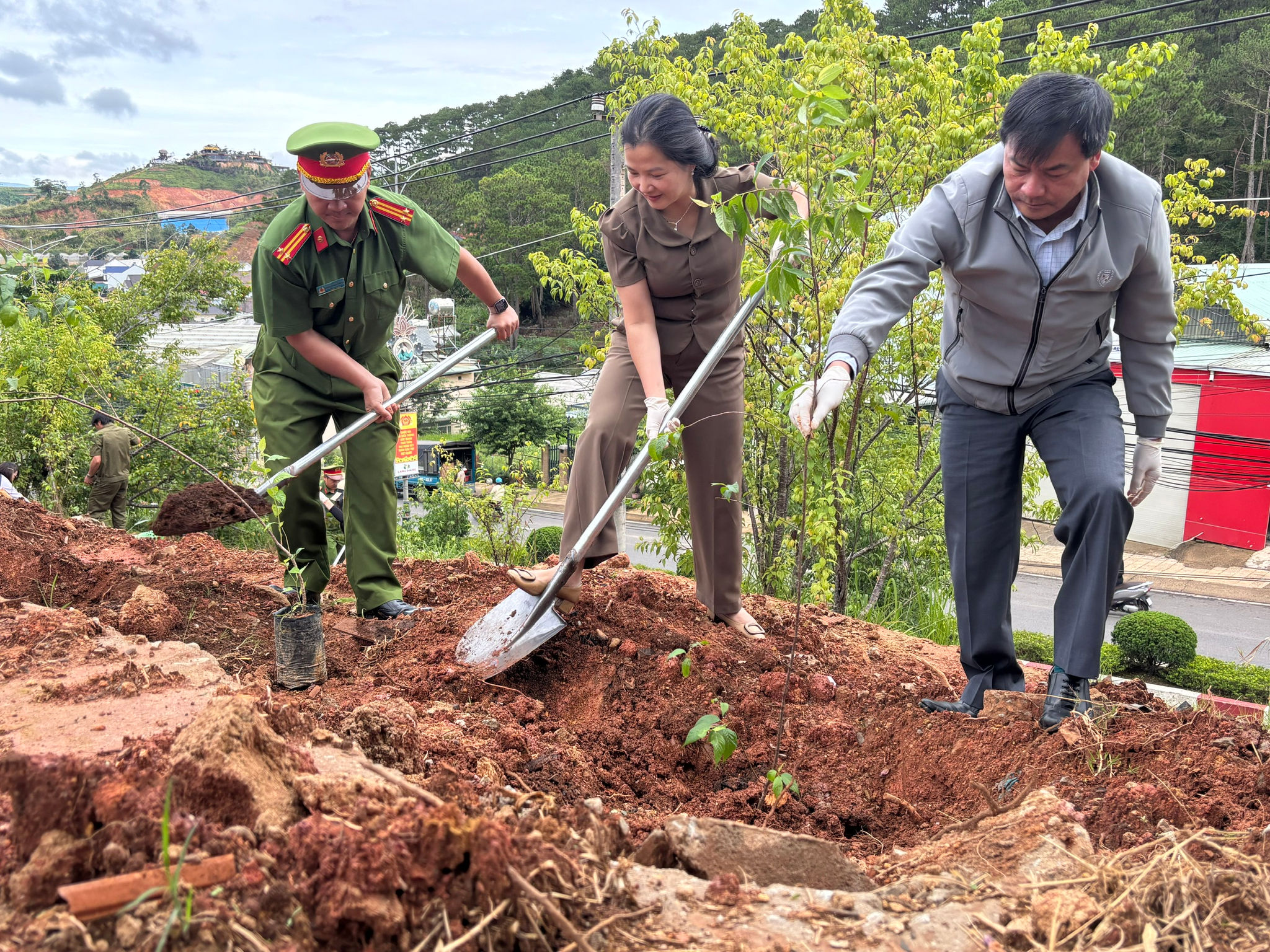Trồng mai anh đào nhân Ngày môi trường thế giới