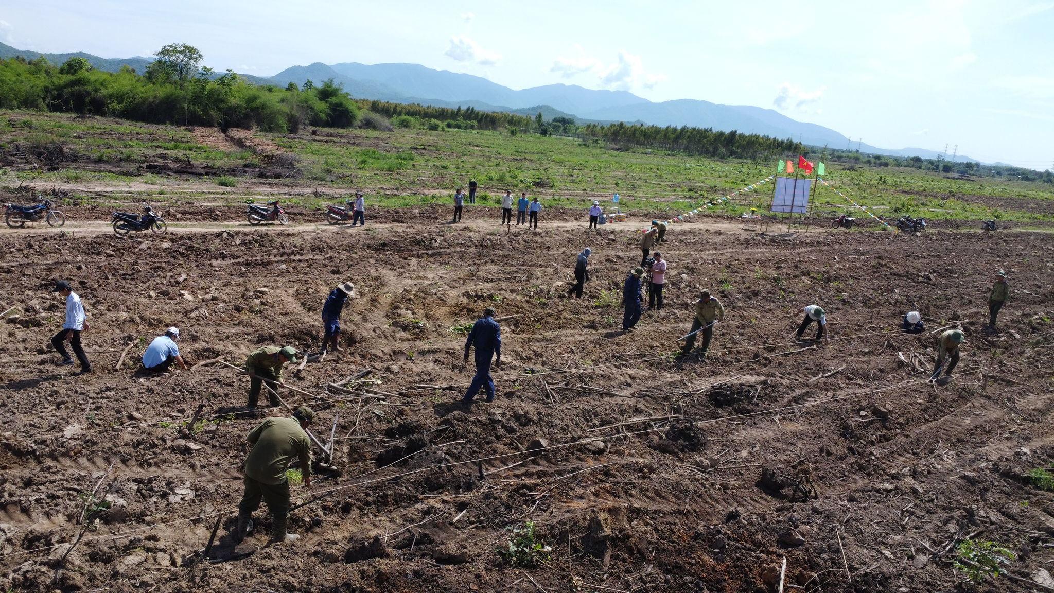 Hoạt động trồng rừng năm 2026 thuận lợi nhờ lượng mưa đầu mùa nhiều trên diện rộng