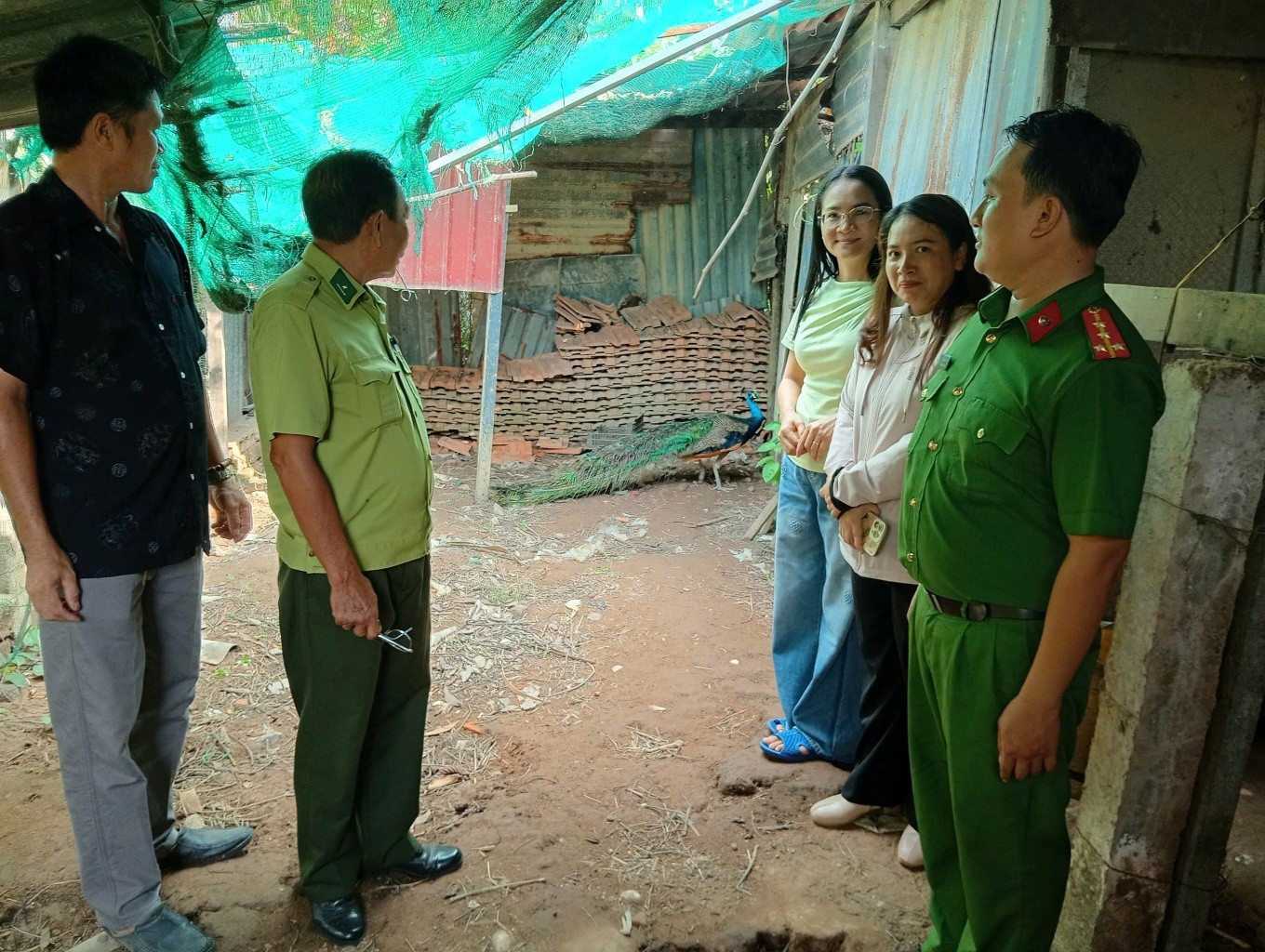 chimcong_lamdong_trannguyen.jpg