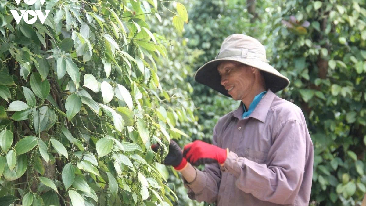 giu vung on dinh kinh te vi mo, nen tang cho tang truong cao ben vung hinh anh 1