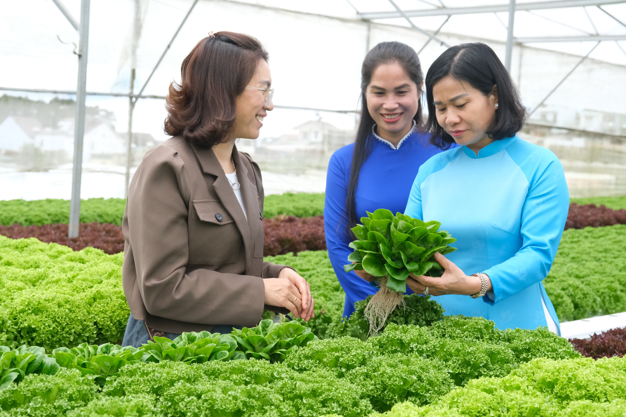 Đoàn công tác của Trung ương Hội LHPN Việt Nam tham quan HTX do phụ nữ làm chủ tại Lâm Đồng