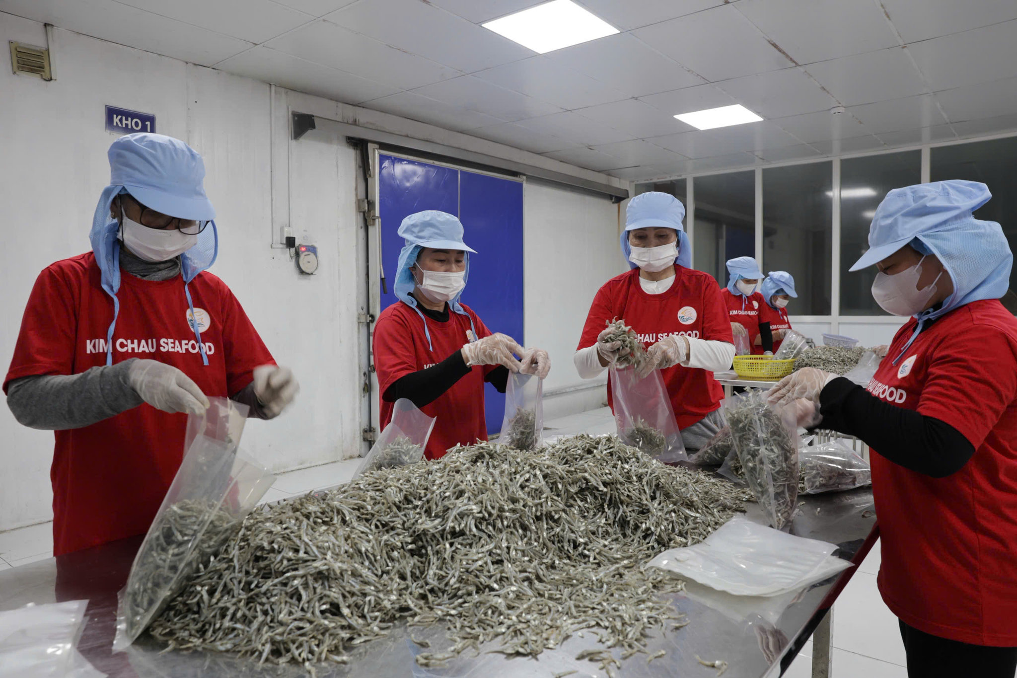 Sản xuất cá cơm khô xuất khẩu ở Cty TNHH Hải sản Kim Châu