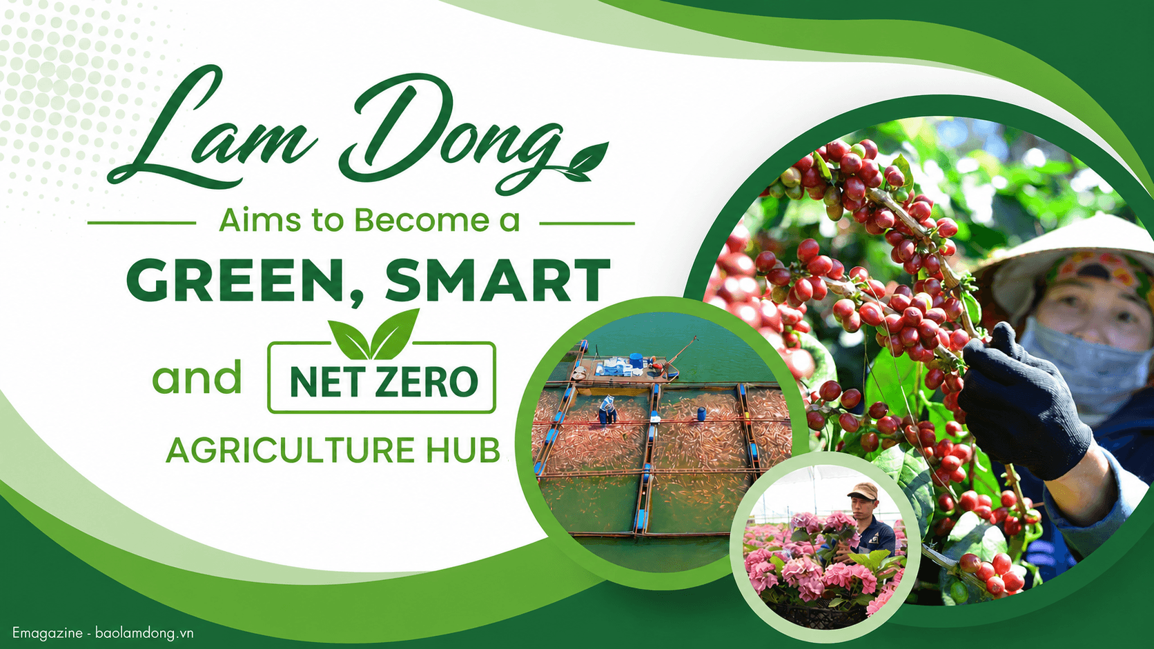 bia net zero