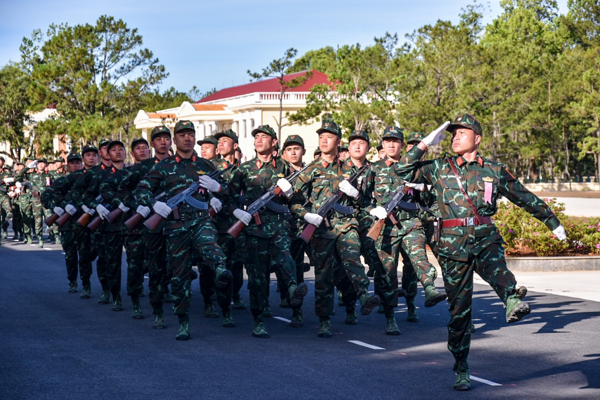 hv5.jpg