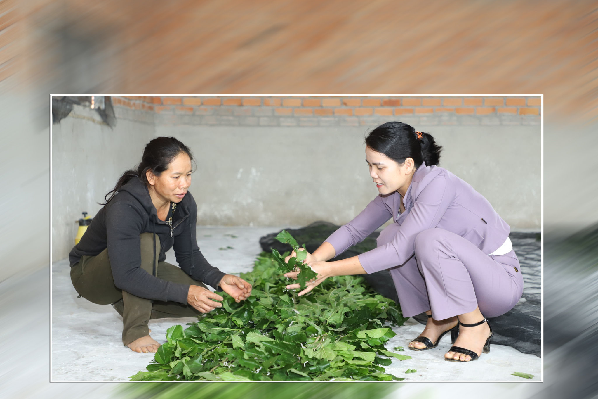 can-bo-dia-phuong-thuong-xuyen-huong-dan-ky-thuat-chan-nuoi-trong-trot-nham-nang-cao-hieu-qua-cac-mo-hinh-sinh-ke.jpg