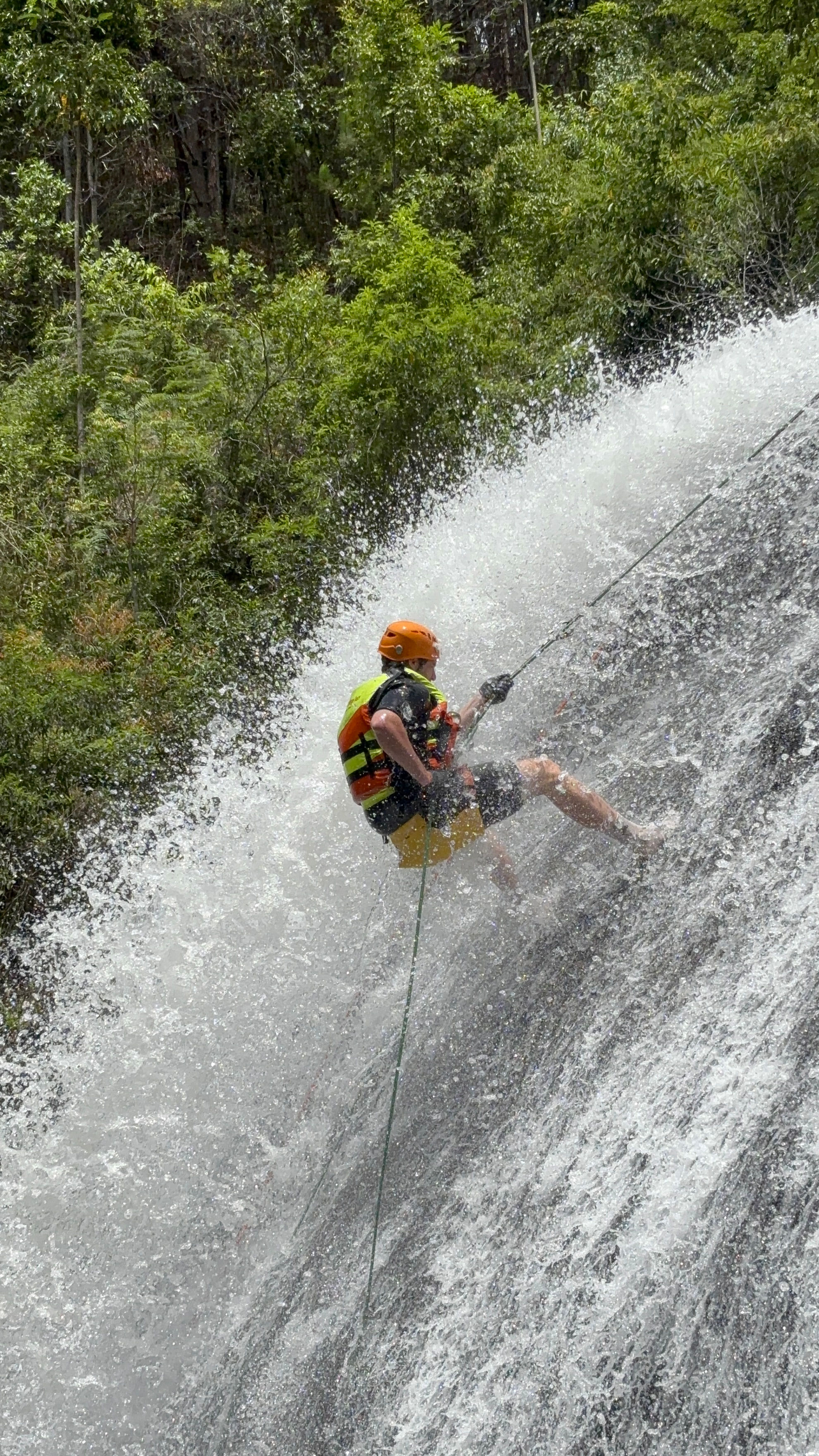 img_8745.jpg