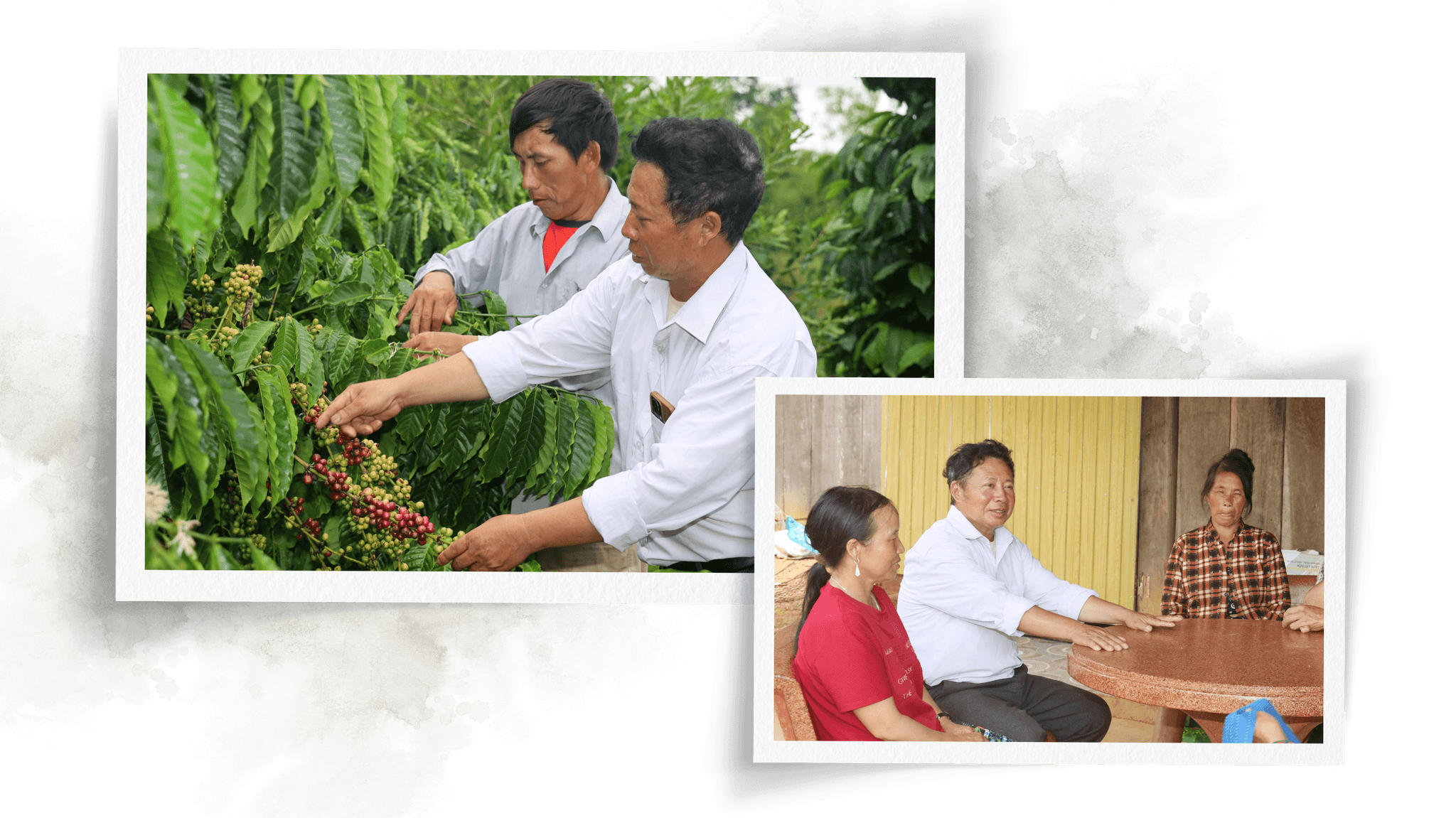 cover a dung bìa ảnh (2)